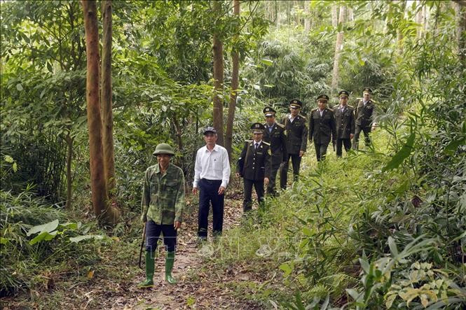 Le Vietnam reconnu comme un pays à « faible risque » selon la réglementation européenne anti-déforestation. Photo : VNA