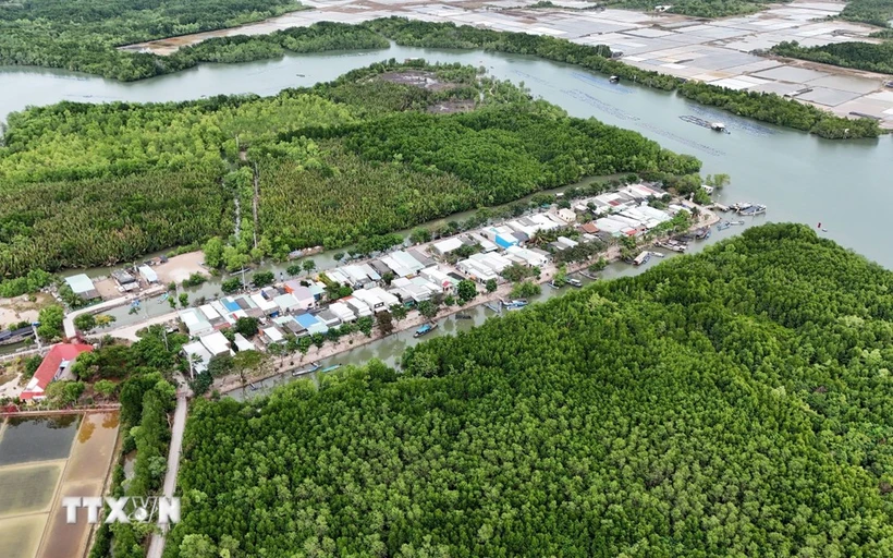 Zone résidentielle concentrée au milieu de l'écosystème de mangrove sur le hameau de l'île de Thieng Lieng. Photo : VNA