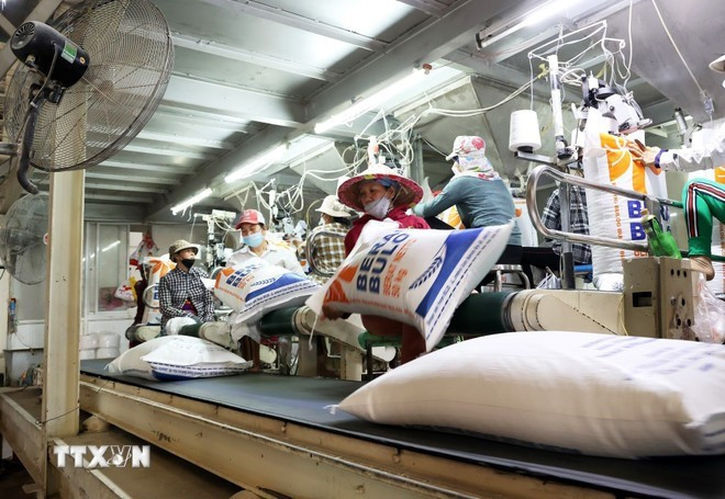 Chaîne de conditionnement de riz pour l'exportation dans la province d'An Giang. Photo : VNA