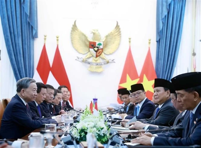 Lors de l'entretien entre Tô Lâm et Prabowo Subianto. Photo : VNA