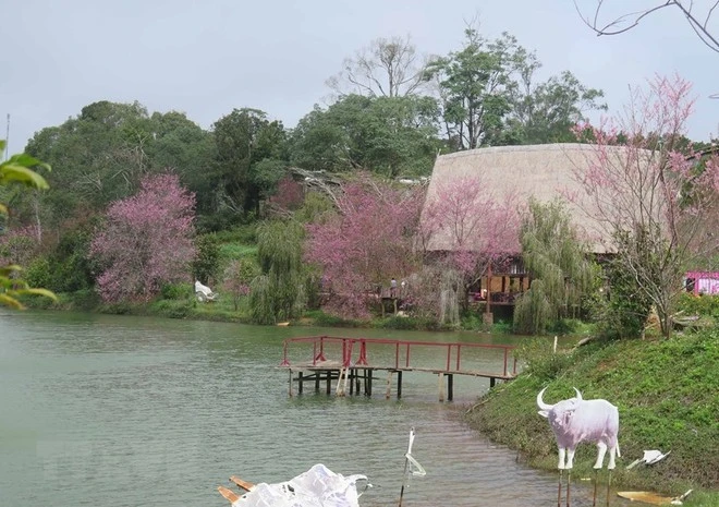 Lac de Dac Ke, destination connue du bourge connue de Măng Đen (Kon Tum). Photo : VNA