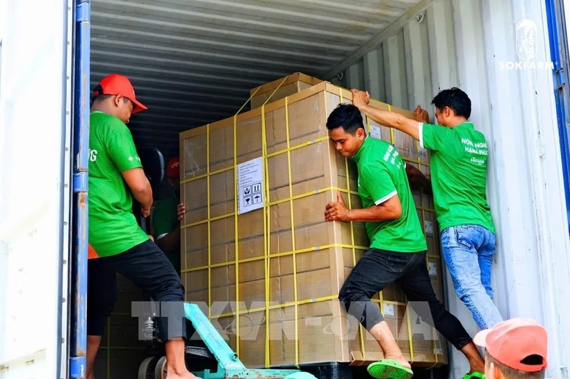 Premier lot de sucre de coco biologique OCOP de Tra Vinh exporté aux États-Unis. Photo ; VNA