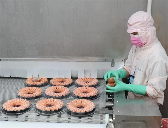 Transformation des crevettes pour l'exportation. (Photo : VNA)