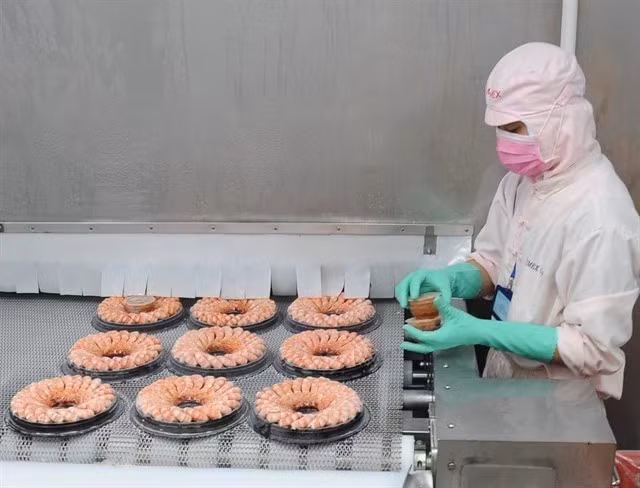 Transformation des crevettes pour l'exportation. (Photo : VNA)