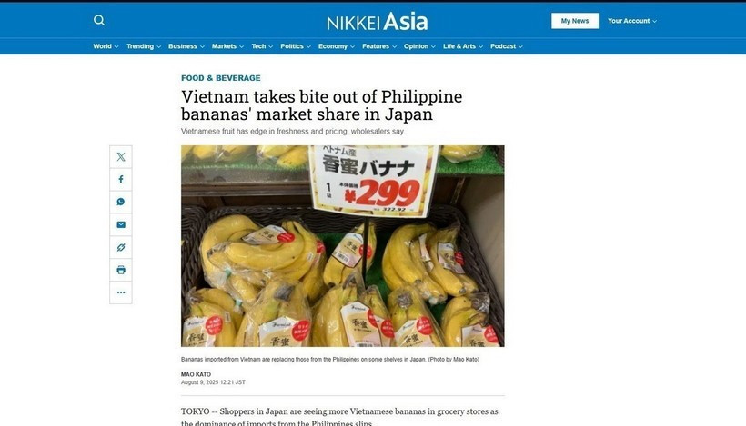 Nikkei Asia rapporte que les bananes vietnamiennes gagnent en popularité dans les épiceries japonaises. (Capture d'écran : VNA)