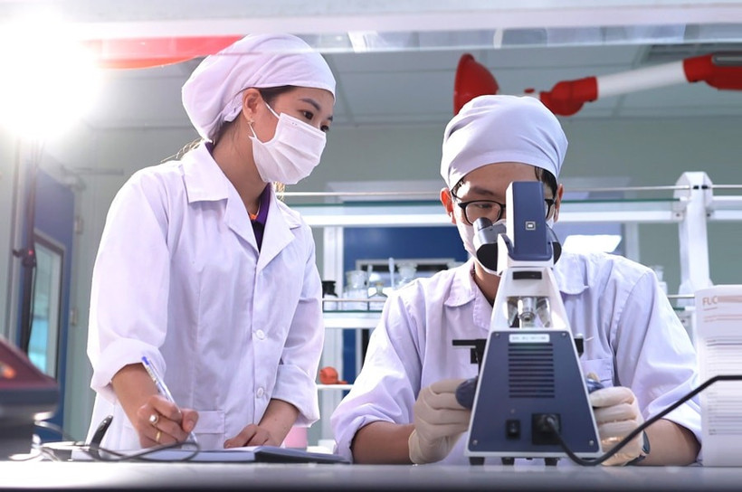 Recherche scientifique au laboratoire de l'usine pharmaceutique de haute technologie CVI Pharma (parc de haute technologie Hoa Lac). Photo : VNA