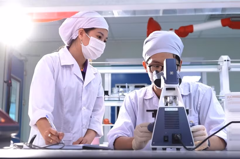 Recherche scientifique au laboratoire de l'usine pharmaceutique de haute technologie CVI Pharma (parc de haute technologie Hoa Lac). Photo : VNA