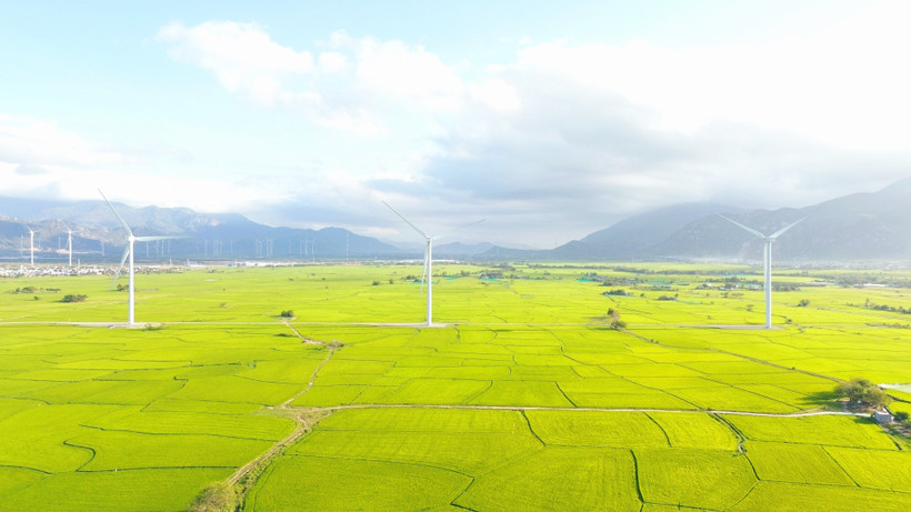 Un projet d'énergie éolienne à Khanh Hoa. Photo : VNA