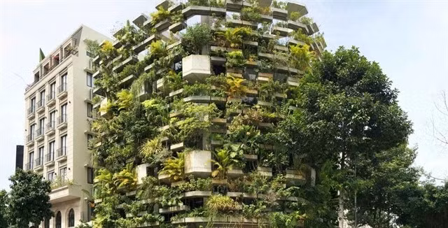 Le Bureau d'agriculture urbaine de Hô Chi Minh-Ville, conçu par Vo Trong Nghia. (Photo : avec l'aimable autorisation de Vo Trong Nghia Architects)