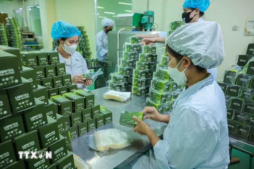 Production de produits à base de plantes chez Lam Dong Pharmaceutical Joint Stock Company. Photo . VNA