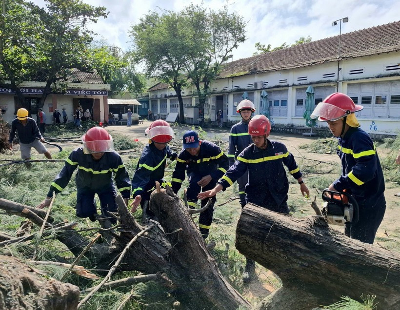 Un arbre tombé près du lycée Nguyen Hong Son, dans le quartier de Xuan Dai, province de Dak Lak, a été dégagé. (Photo : VNA)