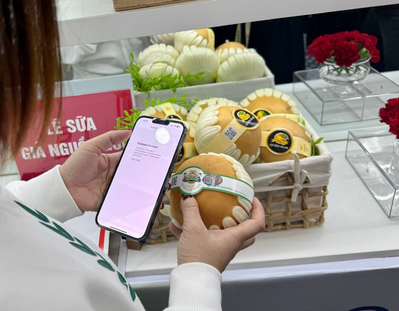 Le Vietnam lance un système national de traçabilité des produits. Photo : VNA