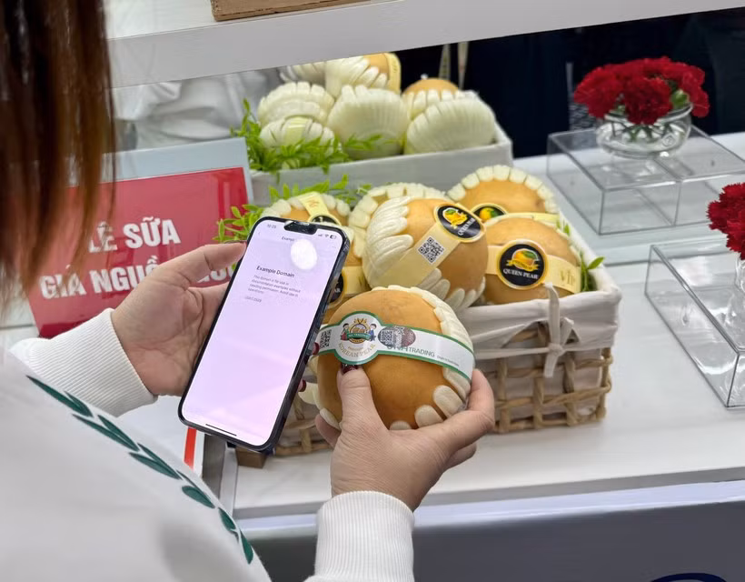 Le Vietnam lance un système national de traçabilité des produits. Photo : VNA