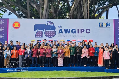 Les délégués à la 78e réunion du Groupe de travail de l’ASEAN sur la coopération en matière de propriété intellectuelle à Bali (Indonésie). Photo : VNA