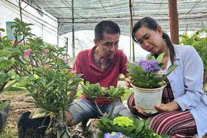Le Hong Phuc et sa femme Vo Thi Loan, résidant dans le hameau de Tan Thien, commune de Tan Thanh Binh, province de Ben Tre, développent leur entreprise de production de pots ornementaux et de bonsaïs grâce à un crédit public. Photo : VNA 
