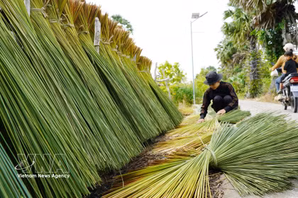 Les habitants de la zone frontalière d’An Giang valorisent le jonc gris pour fabriquer des objets d’artisanat