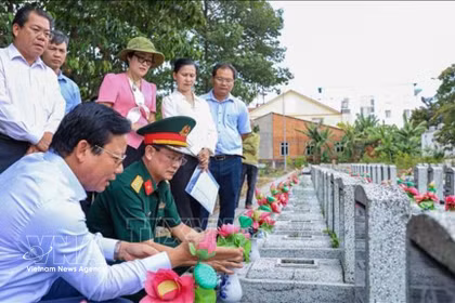 Le vice-président du Comité populaire de la province de Tay Ninh, Pham Tan Hoa (gauche, assisse), accompagné d'une délégation, examine les informations sur les tombes des martyrs non identifiés au cimetière des martyrs d'An Tinh, quartier d'An Tinh, province de Tay Ninh. Photo : VNA