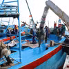 Dans la province de Dong Thap, les bateaux de pêche stockent de la glace dans leurs cale sèches afin de conserver les produits de la mer lors de leurs sorties en mer. Photo : VNA.