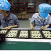 Assemblage de composants électroniques pour l'industrie de l'imprimerie chez Chee Yuen Vietnam Electronic Technology Co., Ltd., une entreprise à capitaux taïwanais (Chine) située dans le parc industriel d'An Duong, à Hai Phong. Photo : VNA
