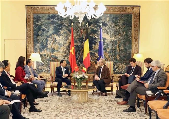 Le vice-Premier ministre vietnamien, Bui Thanh Son (gauche), et le président de la Chambre des représentants de Belgique, Peter De Roover. Photo: VNA
