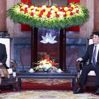 Le président Luong Cuong reçoit la vice-présidente lao Pany Yathotou. Photo : VNA