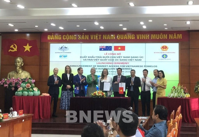 Les deux parties signent et échangent des documents relatifs à l'importation de myrtilles et de pamplemousses entre les deux pays. Photo : VNA buoi-1.jpg