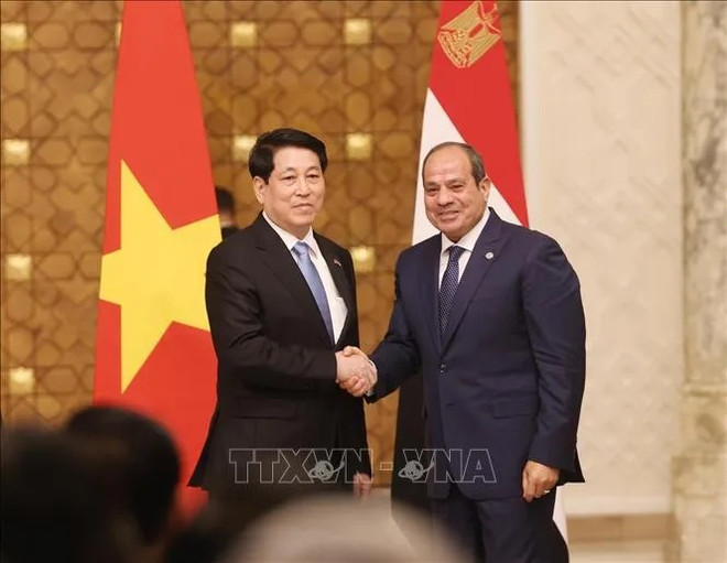 Le président vietnamien Luong Cuong (à gauche) et le président égyptien Abdel Fattah El-Sisi. Photo: VNA egypte.jpg