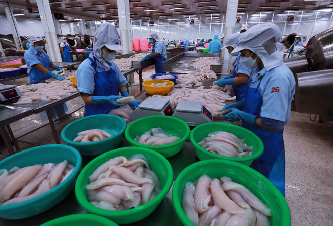 Transformation des produits aquatiques destinés à l'exportation. Photo: VNA eport.jpg