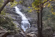Classée site patrimonial au niveau provincial, cette chute d’eau prend sa source au sommet du mont Adin, culminant à 1 406 mètres d’altitude. Depuis une paroi rocheuse abrupte, l’eau s’écoule toute l’année, faisant de Thac Lua la plus haute cascade de la province. Photo: VNA