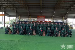 Le Vietnam envoie au Venezuela un contingent de 82 cadres et soldats, accompagné de moyens et de matériel de secours, afin de participer aux opérations de recherche et de sauvetage et d’apporter son soutien aux efforts de gestion des conséquences des séismes. Les gardes-frontières y contribuent avec une équipe cynophile de recherche et de sauvetage composée de 10 cadres et soldats et de huit chiens spécialement entraînés. Photo : VNA