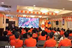 De nombreux expatriés vietnamiens au Japon ont suivi avec attention la retransmission en direct des célébrations du 80e anniversaire de la fête nationale sur un écran géant. (Photo : VNA)