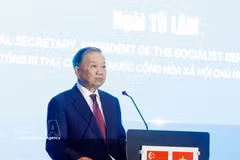Le secrétaire général du Parti communiste et président vietnamien, Tô Lâm s'exprime au Forum de connexion technologique Vietnam-Singapour, placé sous le thème : « Du partenariat stratégique aux plateformes industrielles, d’innovation et de développement durable de nouvelle génération ». Photo : VNA