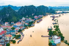 Le hameau de Kenh Ga, dans la commune de Gia Vien, province de Ninh Binh, est profondément inondé après de fortes pluies. Photo : VNA