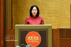 Bui Thi Minh Hoai, présidente du Comité central du Front de la Patrie du Vietnam. Photo : VNA