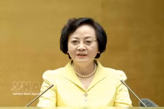 La vice-Première ministre Pham Thi Thanh Tra. Photo: VNA
