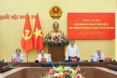 Le président de l'Assemblée nationale, Tran Thanh Man, s'exprime. Photo: VNA