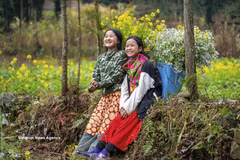 Le Vietnam s’affirme comme une destination sûre, durable, accueillante et riche en identité culturelle. Photo: VNA