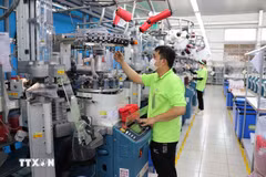 Des ouvriers de l'usine Sung Hwa Vina dans le parc industriel de Hoa Binh, province de Tây Ninh). Photo: VNA