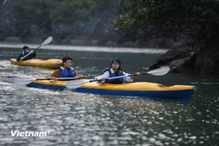 Des touristes pratiquent le kayak dans la baie d'Ha Long. Photo : Xuan Mai/Vietnam+