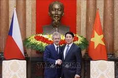 Le président Luong Cuong (droite) reçoit le président du Sénat tchèque Milos Vystrcil. Photo: VNA
