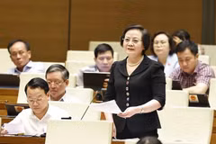 La ministre de l'Intérieur, Pham Thi Thanh Trà. Photo: VNA