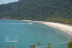 Cu Lao Cham accueille les visiteurs avec ses eaux turquoise cristallines, ses plages de sable blanc immaculées comme la plage Ong et la plage Chong et ses forêts primaires luxuriantes. Photo : VNA