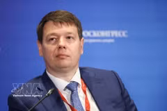 Le vice-ministre russe du Développement économique, Vladimir Evguenievitch Ilyitchev. Photo : VNA