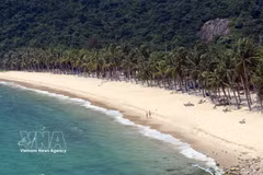 La superbe plage de sable blanc de l'île de Cu Lao Cham (ville de Da Nang) attire les touristes. Photo : VNA