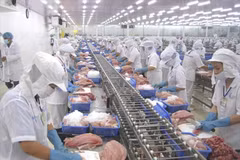 Préparation de produits halieutiques pour l’exportation. (Photo : PV/Vietnam+)