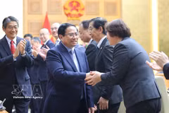 Le Premier ministre et des représentants d'entreprises japonaises. Photo : VNA