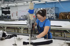 A la société par actions d'investissement et de commerce TNG, au parc industriel Song Cong 1, province de Thai Nguyen. Photo : VNA