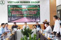 Séance de travail entre l'ambassadeur du Vietnam au Cambodge Nguyên Minh Vu et les représentants de trois entreprises de caoutchouc : Ba Ria Kampong Thom, Phuoc Hoa Kampong Thom et Tan Bien Kampong Thom. Photo : VNA 