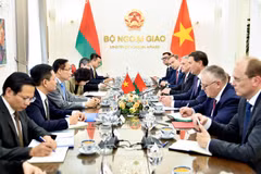 Panorama de l'entretien. Photo : ministère vietnamien des Affaires étrangères.