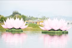 Deux des sept fleurs de lotus destinées aux célébrations du Vesak 2570 du calendrier bouddhique ont été mises à l’eau sur la rivière des Parfums, à Huê. Photo : VNA